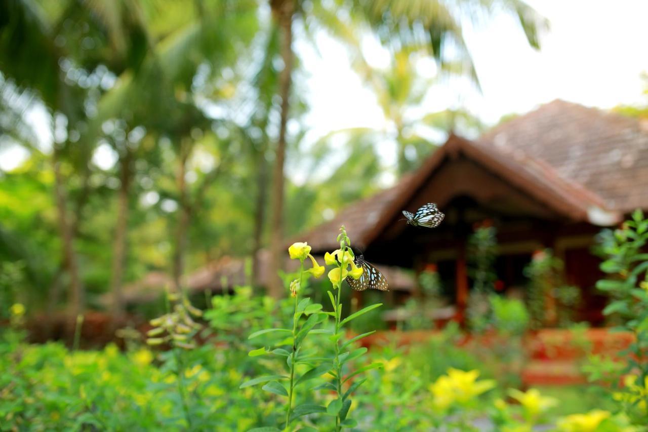 Thrissur The Nattika Beach Resort מראה חיצוני תמונה